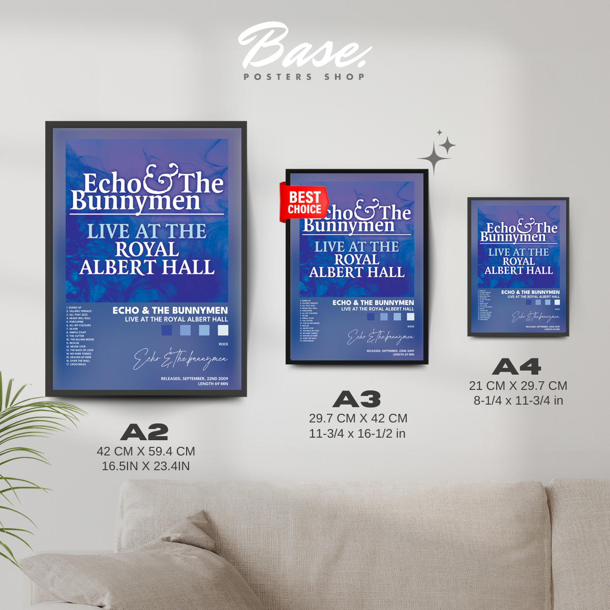 echo the bunnymen Live at the Royal Albert Hall poster