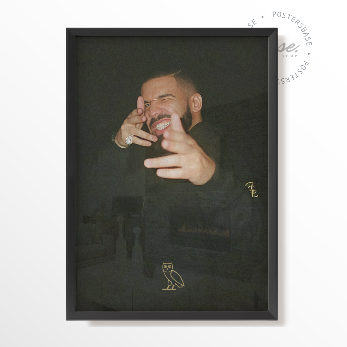 Drake OVO